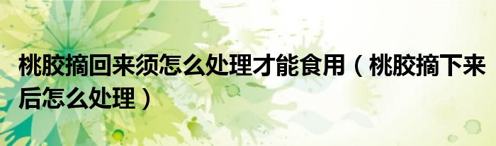 桃胶摘回来须怎么处理才能食用（桃胶摘下来后怎么处理）