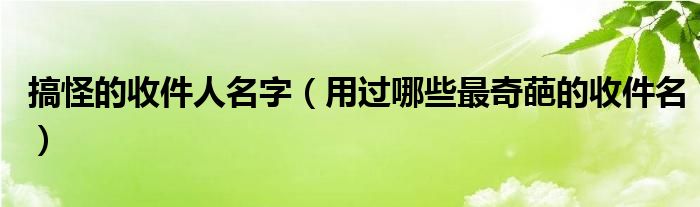 搞怪的收件人名字（用过哪些最奇葩的收件名）