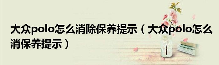 大众polo怎么消除保养提示（大众polo怎么消保养提示）