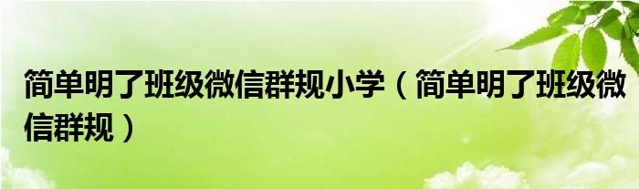 简单明了班级微信群规小学（简单明了班级微信群规）