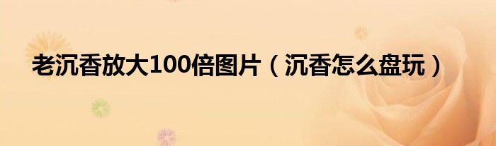 老沉香放大100倍图片（沉香怎么盘玩）