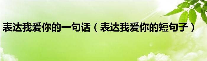 表达我爱你的一句话（表达我爱你的短句子）
