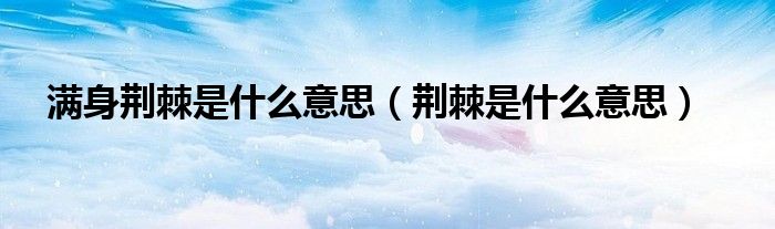 满身荆棘是什么意思（荆棘是什么意思）