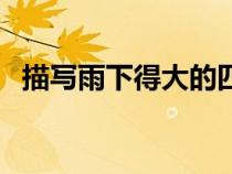 描写雨下得大的四字成语（描写雨的成语）