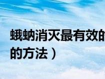蛾蚋消灭最有效的方法蚊香（蛾蚋消灭最有效的方法）