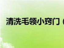 清洗毛领小窍门（清洗毛领的实用小妙招）