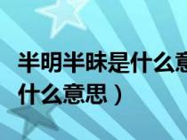 半明半昧是什么意思是什么意思（半明半昧是什么意思）