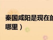 秦国咸阳是现在的哪里呢（秦国咸阳是现在的哪里）