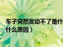 车子突然发动不了是什么原因引起的（车子突然发动不了是什么原因）