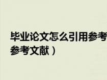 毕业论文怎么引用参考文献参考文献吗（毕业论文怎么引用参考文献）