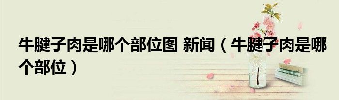 牛腱子肉是哪个部位图 新闻（牛腱子肉是哪个部位）