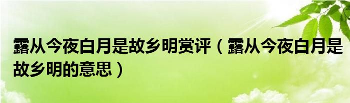 露从今夜白月是故乡明赏评（露从今夜白月是故乡明的意思）