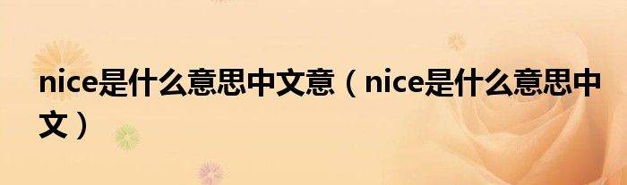 nice是什么意思中文意（nice是什么意思中文）