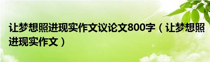让梦想照进现实作文议论文800字（让梦想照进现实作文）