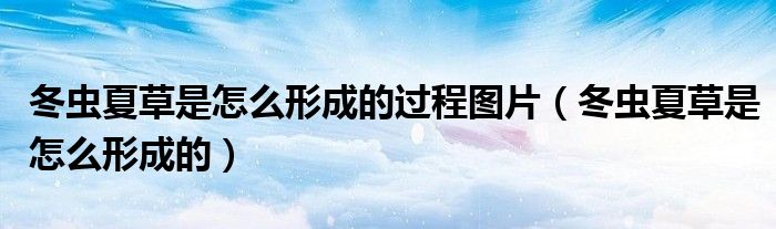冬虫夏草是怎么形成的过程图片（冬虫夏草是怎么形成的）