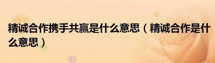 精诚合作携手共赢是什么意思（精诚合作是什么意思）