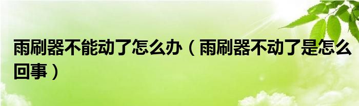 雨刷器不能动了怎么办（雨刷器不动了是怎么回事）
