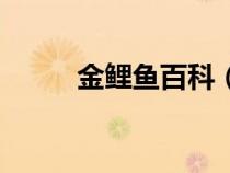 金鲤鱼百科（金鲤鱼的养殖方法）