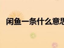闲鱼一条什么意思（咸鱼一条是什么意思）