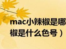 mac小辣椒是哪个色号多少钱（mac的小辣椒是什么色号）