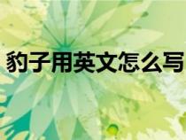 豹子用英文怎么写（豹子的英文单词怎么写）