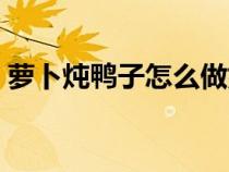 萝卜炖鸭子怎么做好吃（炖鸭子怎么做好吃）