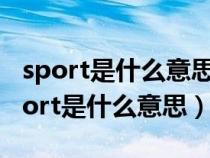 sport是什么意思车上的怎么用（车上显示sport是什么意思）