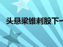 头悬梁锥刺股下一句（头悬梁锥刺股意思）