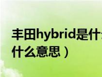 丰田hybrid是什么意思中文（丰田Hybrid是什么意思）