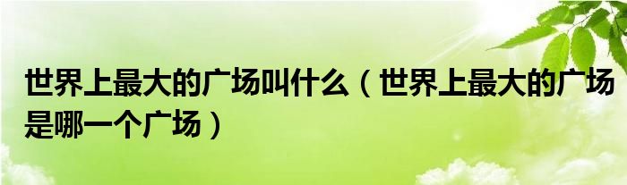 世界上最大的广场叫什么（世界上最大的广场是哪一个广场）