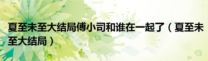 夏至未至大结局傅小司和谁在一起了（夏至未至大结局）