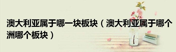 澳大利亚属于哪一块板块（澳大利亚属于哪个洲哪个板块）