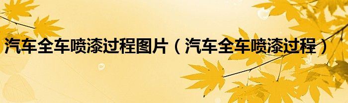 汽车全车喷漆过程图片（汽车全车喷漆过程）
