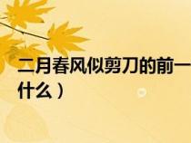 二月春风似剪刀的前一句是啥（二月春风似剪刀的下一句是什么）