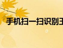 手机扫一扫识别玉石（怎么识别玉的真假）