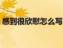 感到很欣慰怎么写（感到很欣慰是什么意思）
