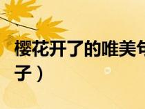 樱花开了的唯美句子图片（樱花开了的唯美句子）