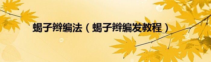 蝎子辫编法（蝎子辫编发教程）