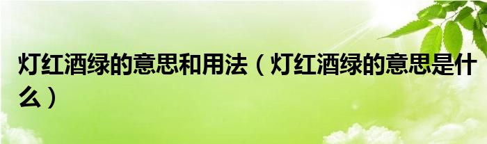 灯红酒绿的意思和用法（灯红酒绿的意思是什么）