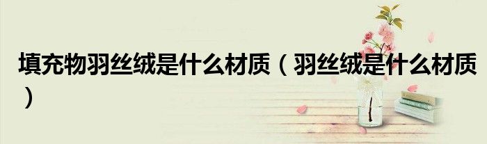填充物羽丝绒是什么材质（羽丝绒是什么材质）