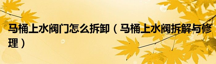 马桶上水阀门怎么拆卸（马桶上水阀拆解与修理）