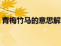青梅竹马的意思解释一下（青梅竹马的意思）