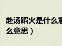 赴汤蹈火是什么意思解释词语（赴汤蹈火是什么意思）