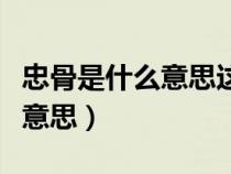 忠骨是什么意思这里指的是什么（忠骨是什么意思）