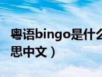 粤语bingo是什么意思中文(bingo是什么意思中文) 粤语bingo是什么意思中文(bingo是什么意思中文)