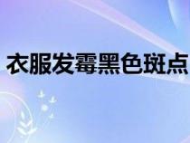 衣服发霉黑色斑点（衣服发霉有黑点怎么洗）