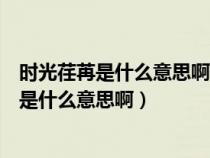 时光荏苒是什么意思啊形容时间过得很快的词语(时光荏苒是什么意思啊) 时光荏苒是什么意思啊形容时间过得很快的词语(时光荏苒是什么意思啊)
