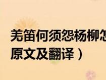 羌笛何须怨杨柳怎么翻译（羌笛何须怨杨柳的原文及翻译）