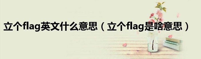 立个flag英文什么意思（立个flag是啥意思）