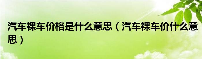 汽车裸车价格是什么意思（汽车裸车价什么意思）
